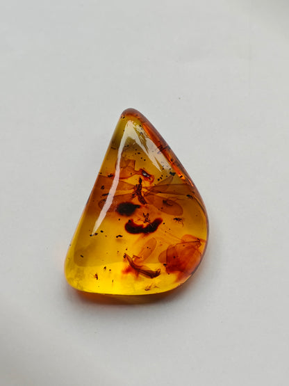 Raw Colombian Amber with Complete Visible Dragonfly and Multiple Insect Inclusions | 14.5g