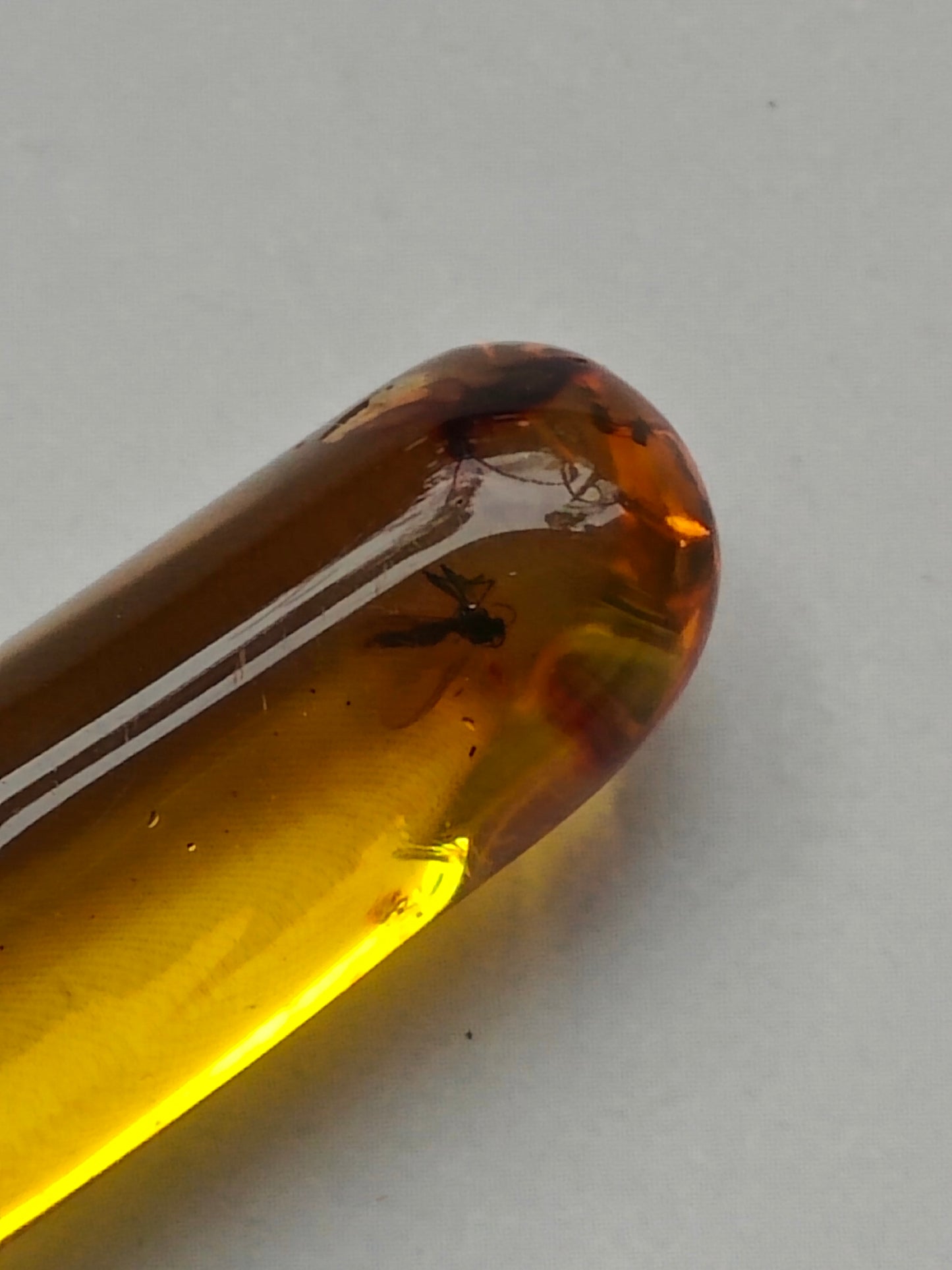 Raw Colombian Amber with Insect Inclusions – Cylinder Shape | 4.9g