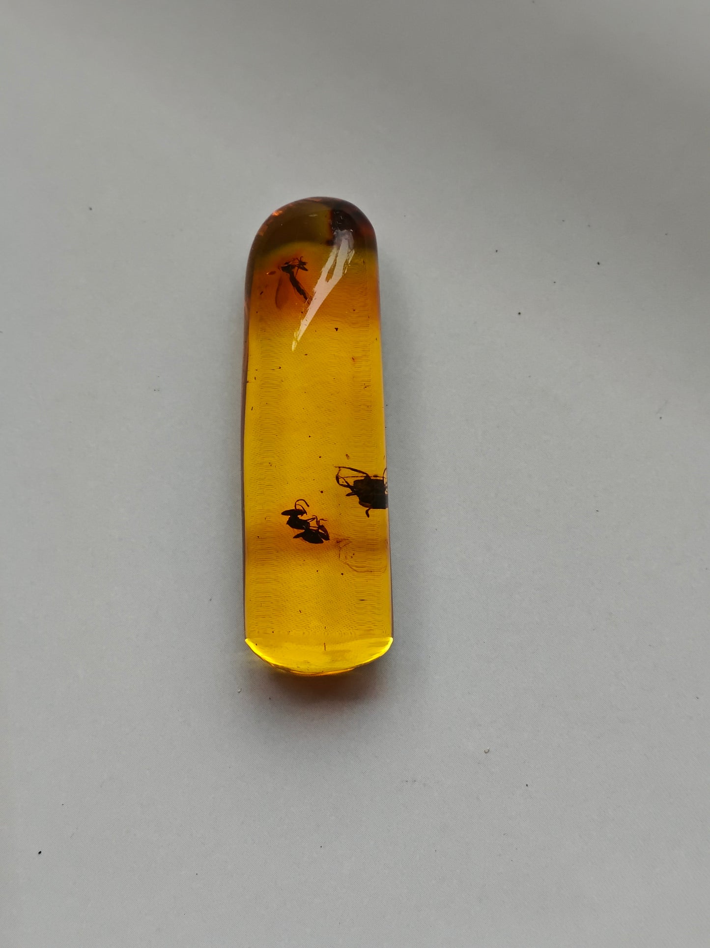 Raw Colombian Amber with Insect Inclusions – Cylinder Shape | 4.9g