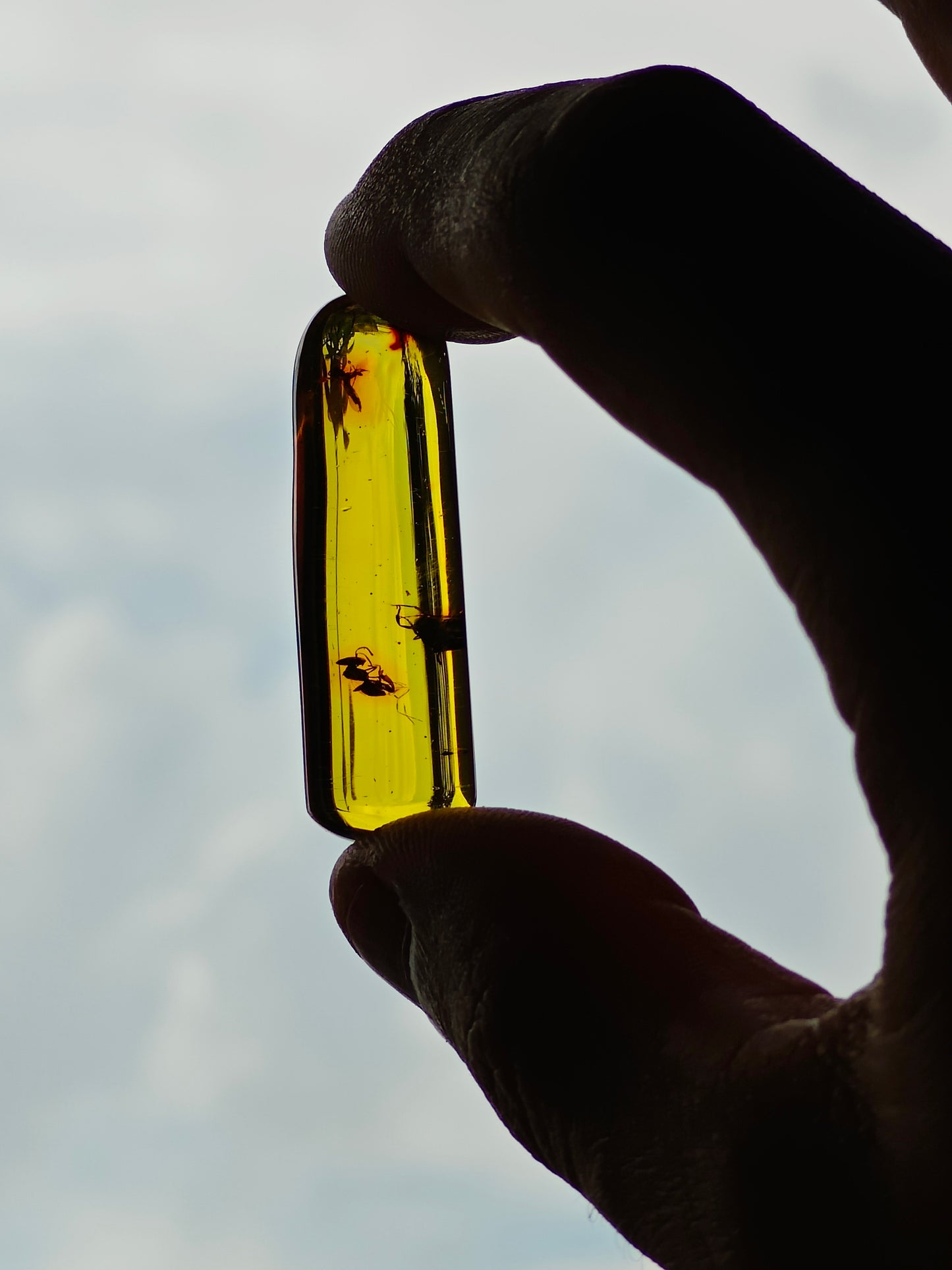 Raw Colombian Amber with Insect Inclusions – Cylinder Shape | 4.9g