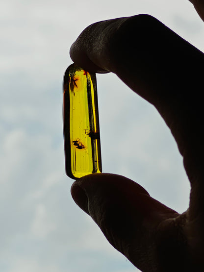 Raw Colombian Amber with Insect Inclusions – Cylinder Shape | 4.9g