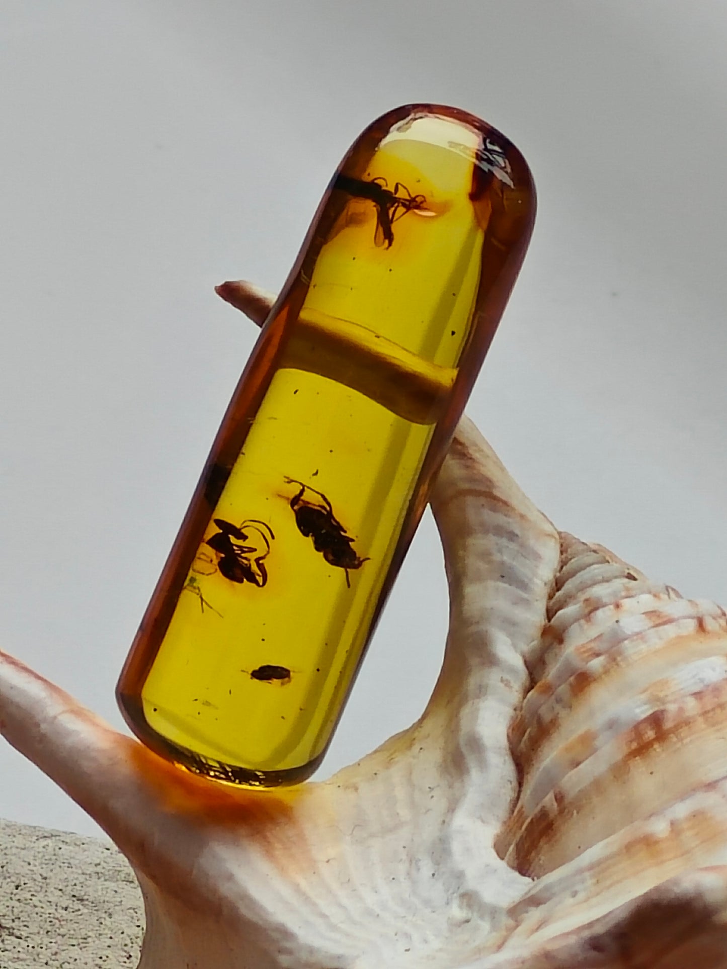 Raw Colombian Amber with Insect Inclusions – Cylinder Shape | 4.9g