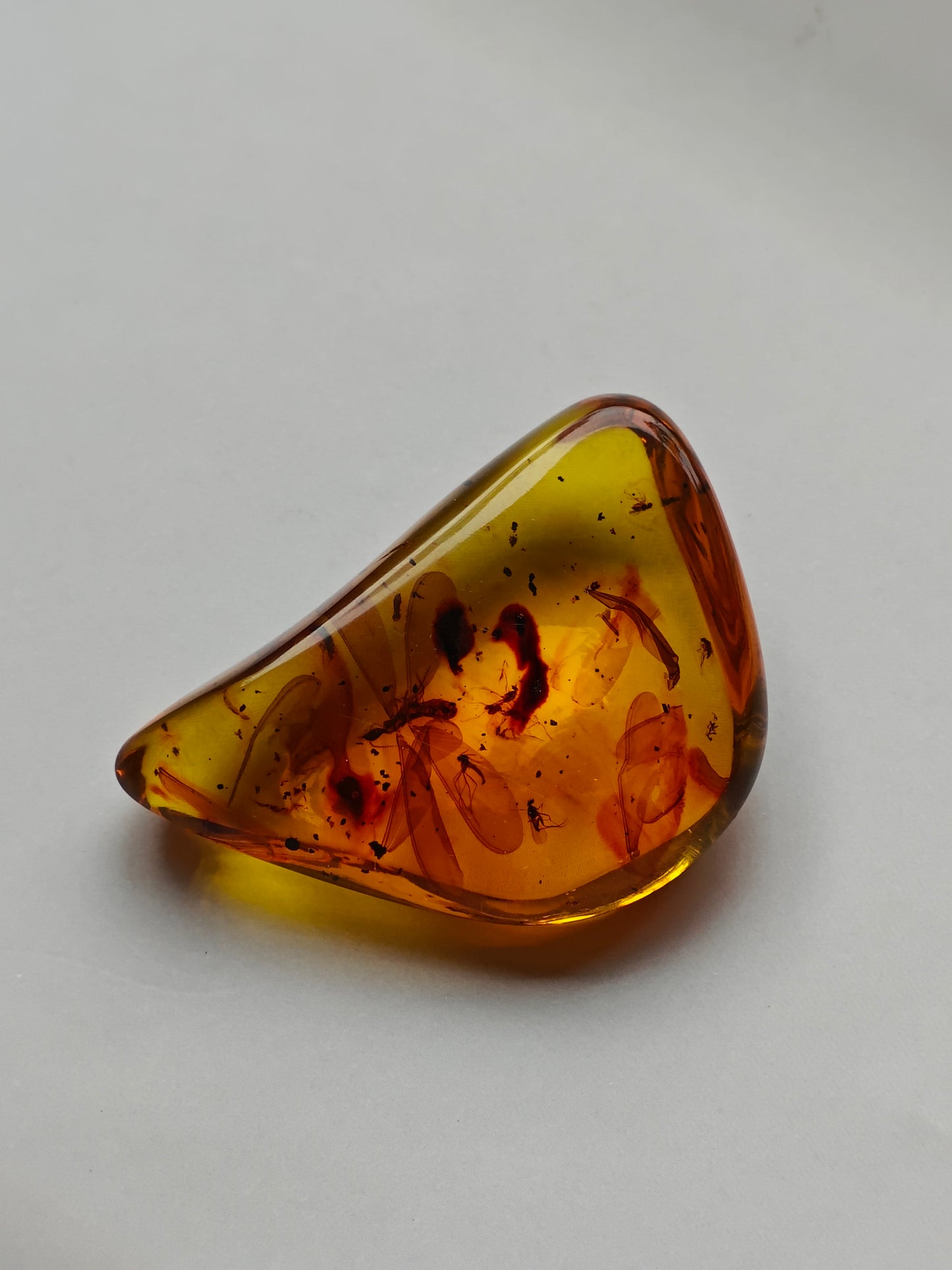 Raw Colombian Amber with Complete Visible Dragonfly and Multiple Insect Inclusions | 14.5g