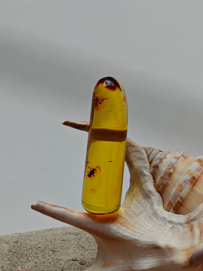 Raw Colombian Amber with Insect Inclusions – Cylinder Shape | 4.9g
