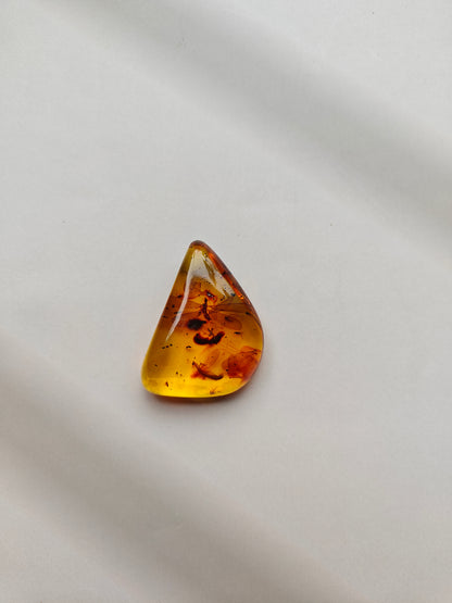Raw Colombian Amber with Complete Visible Dragonfly and Multiple Insect Inclusions | 14.5g