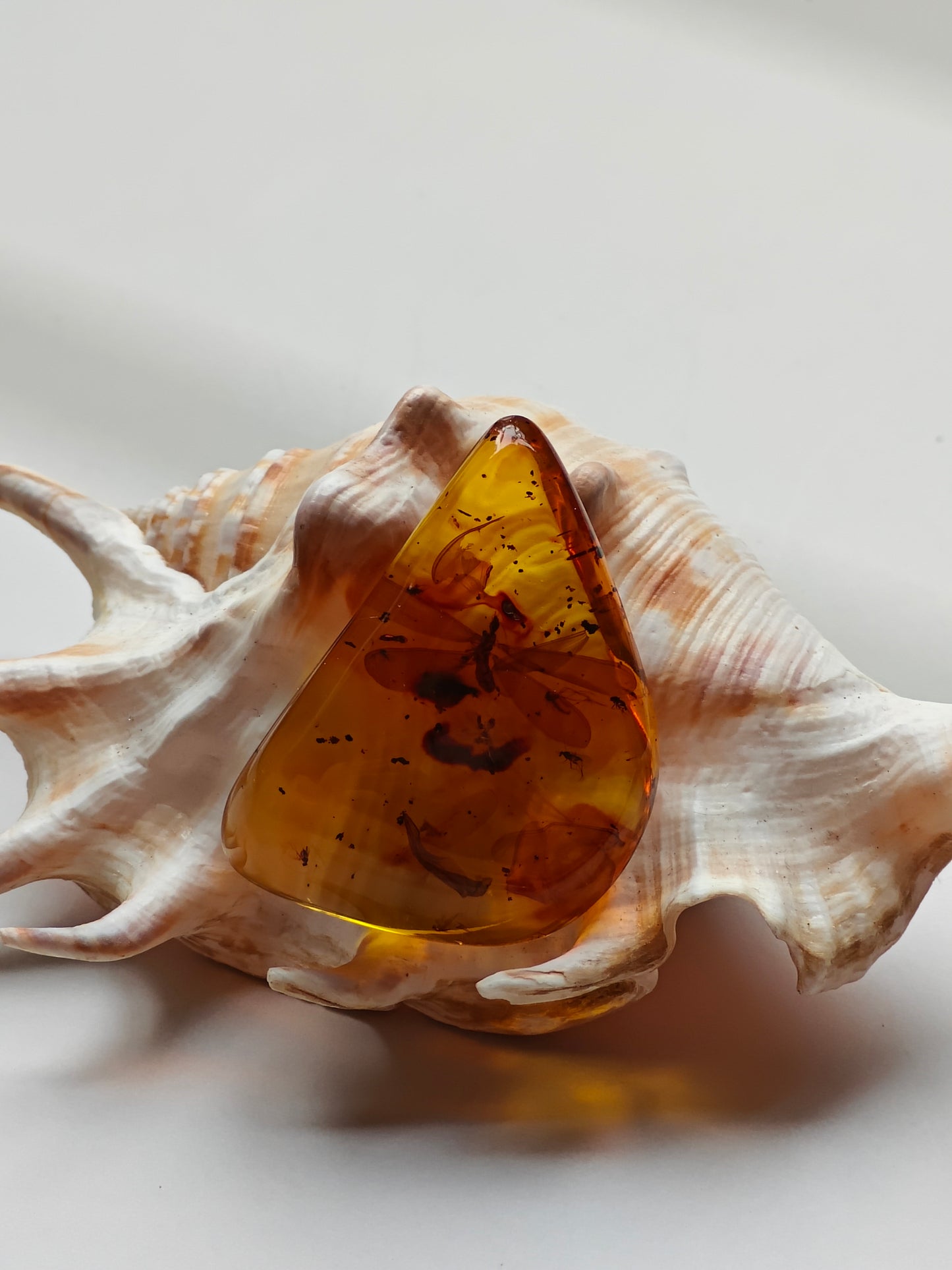 Raw Colombian Amber with Complete Visible Dragonfly and Multiple Insect Inclusions | 14.5g
