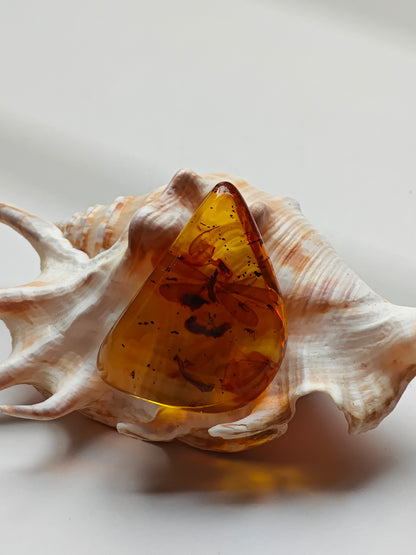 Raw Colombian Amber with Complete Visible Dragonfly and Multiple Insect Inclusions | 14.5g