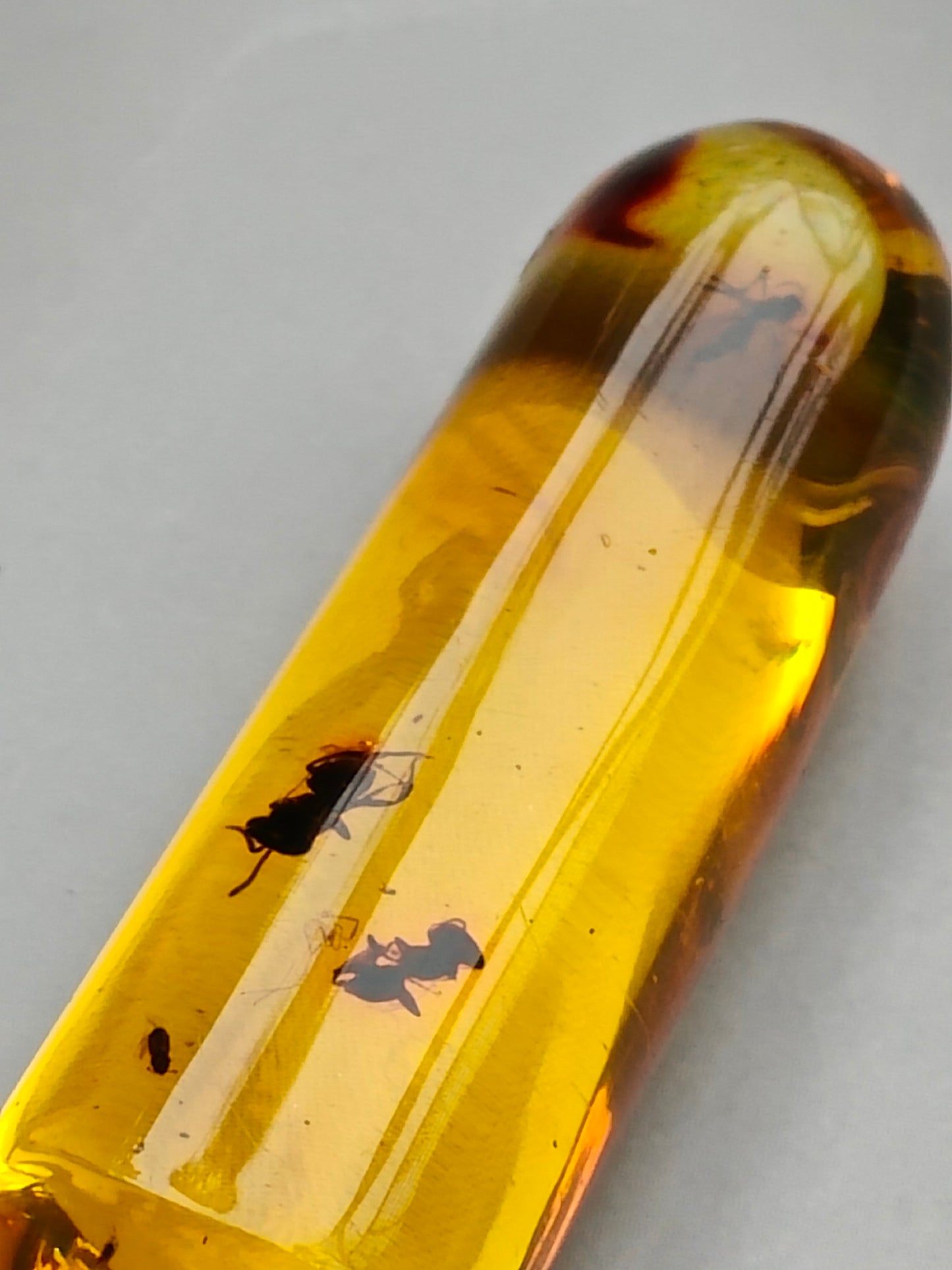 Raw Colombian Amber with Insect Inclusions – Cylinder Shape | 4.9g