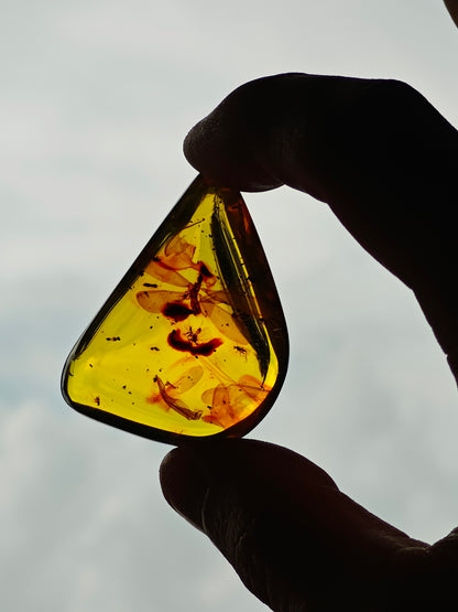 Raw Colombian Amber with Complete Visible Dragonfly and Multiple Insect Inclusions | 14.5g