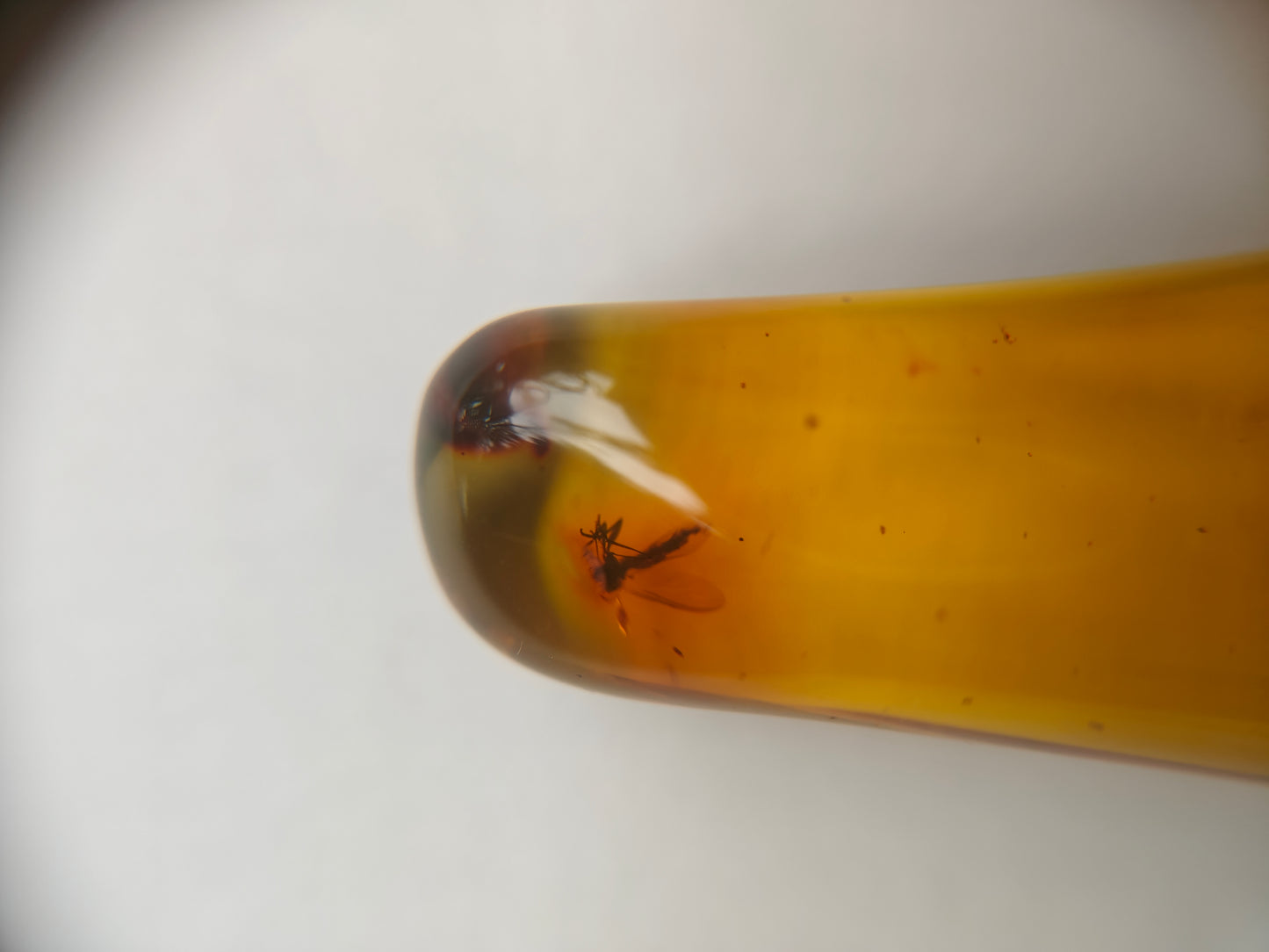 Raw Colombian Amber with Insect Inclusions – Cylinder Shape | 4.9g