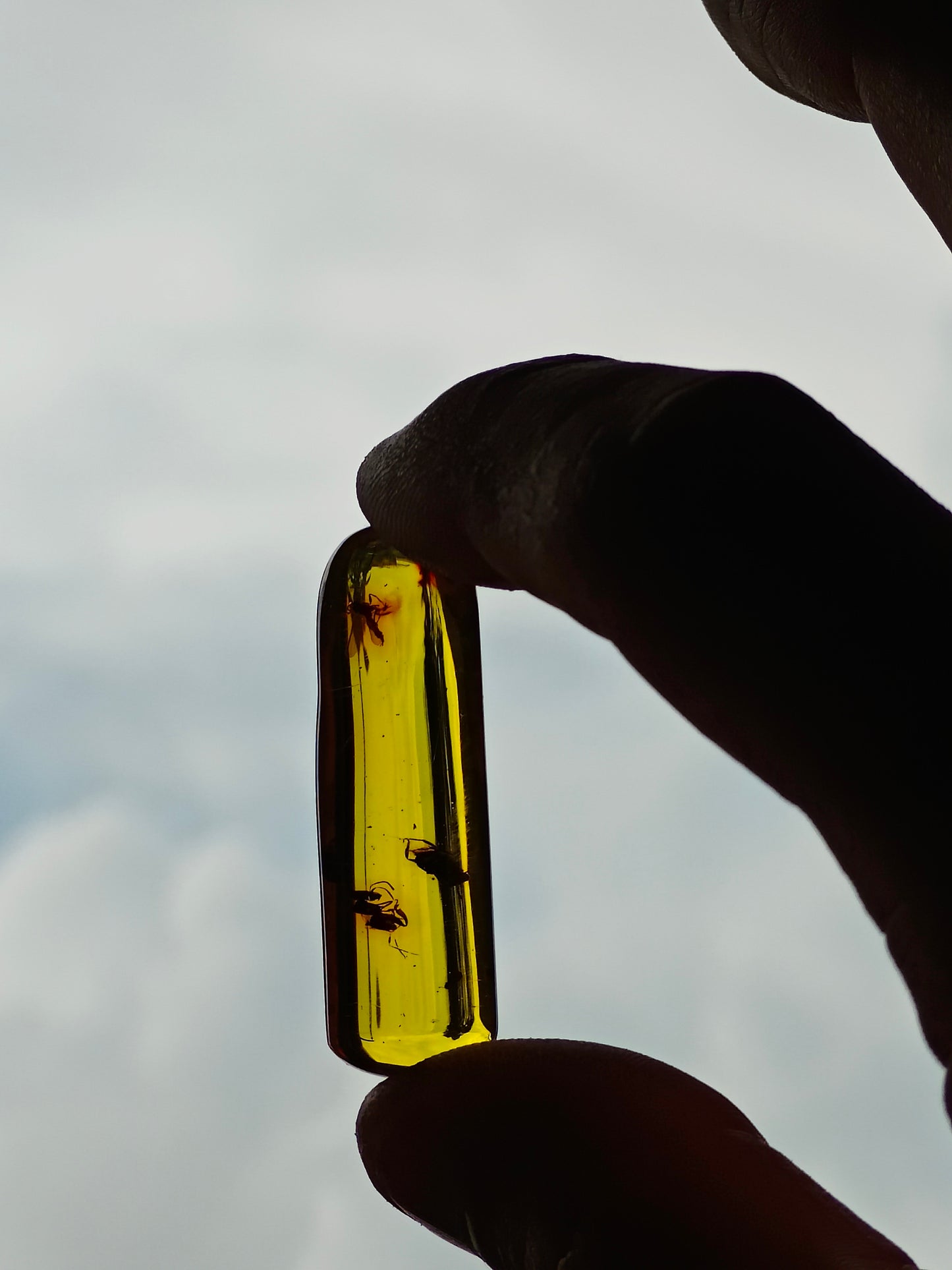 Raw Colombian Amber with Insect Inclusions – Cylinder Shape | 4.9g