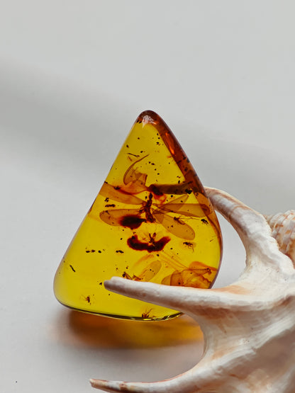 Raw Colombian Amber with Complete Visible Dragonfly and Multiple Insect Inclusions | 14.5g