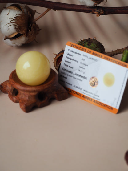 Big Natural Milk Amber Ball / Globe with Certificate 37mm