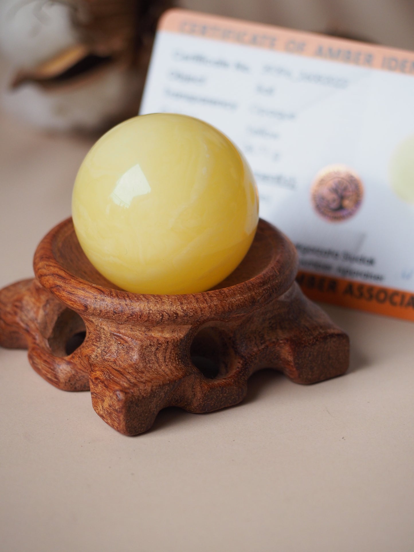 Big Natural Milk Amber Ball/ Globe with Certificate 37mm